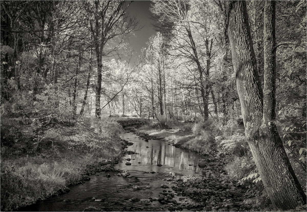 Quiet Stream
